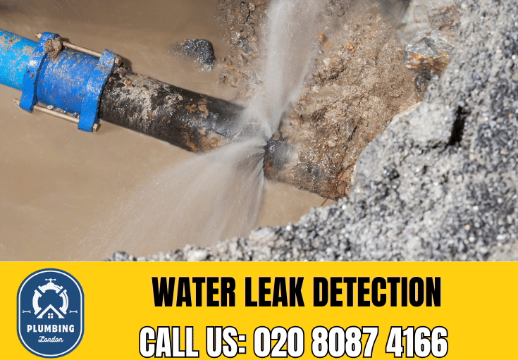 leak detection Strawberry Hill