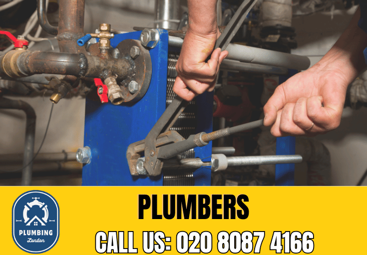  plumber Hampton Hill