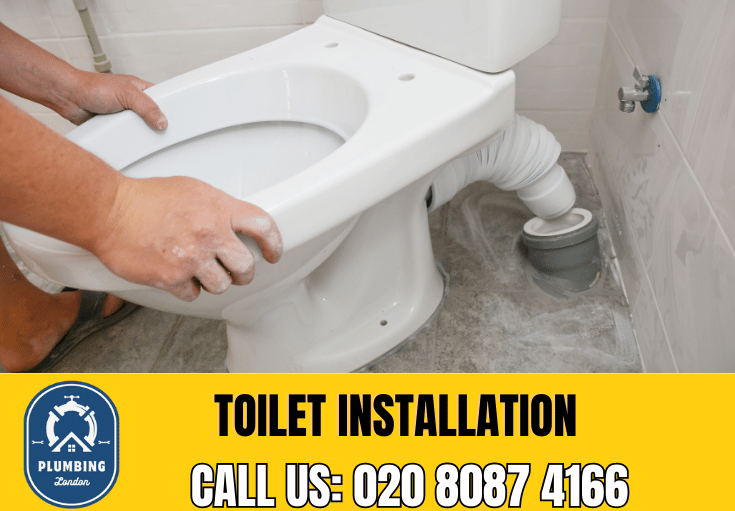 toilet fitters Strawberry Hill